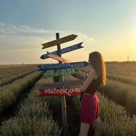вила Топи Kaloyanovo  Экстерьер фото