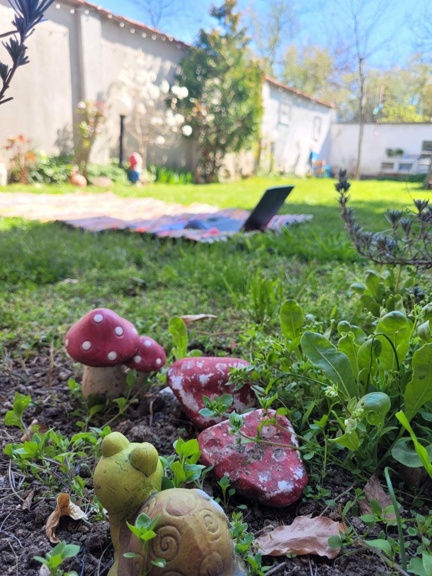 вила Топи Kaloyanovo  Экстерьер фото